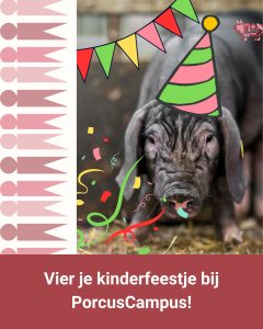 children's party at the farm